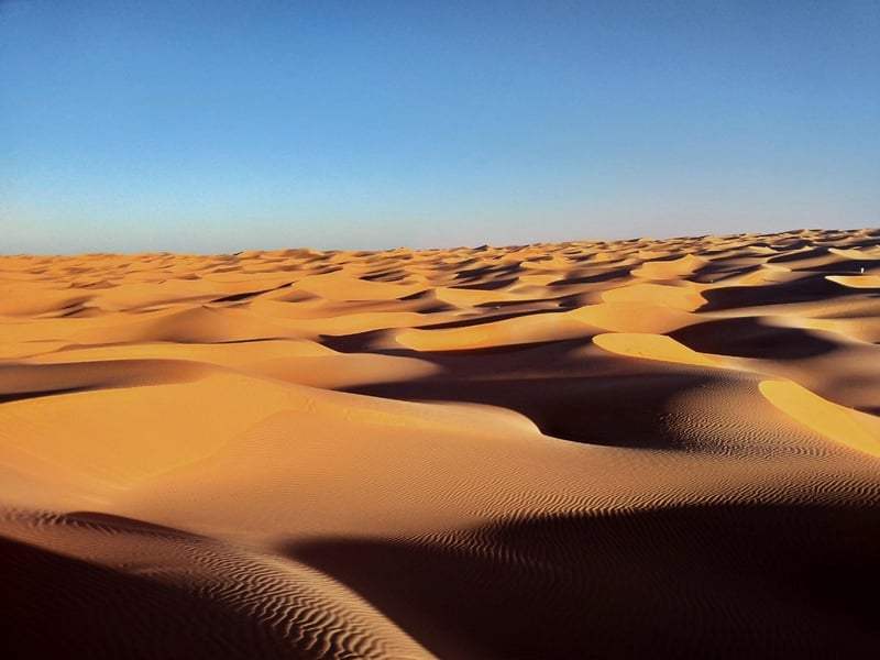 Desert Exploration