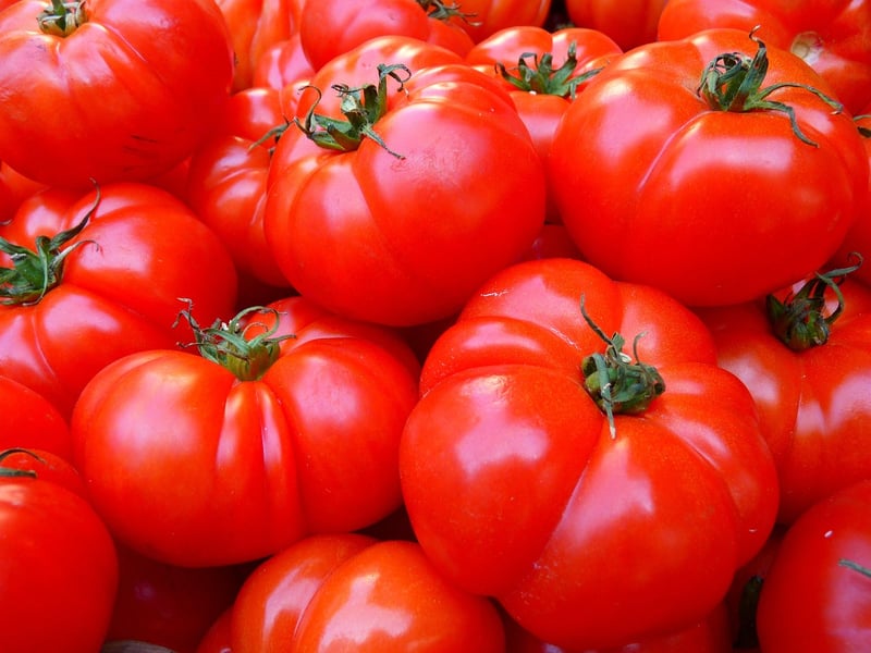 Farm-to-Table Dining